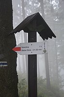 Zubrzyca 308.jpg